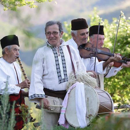 Etno Kompleks Kapetan Misin Breg Donji Milanovac Extérieur photo